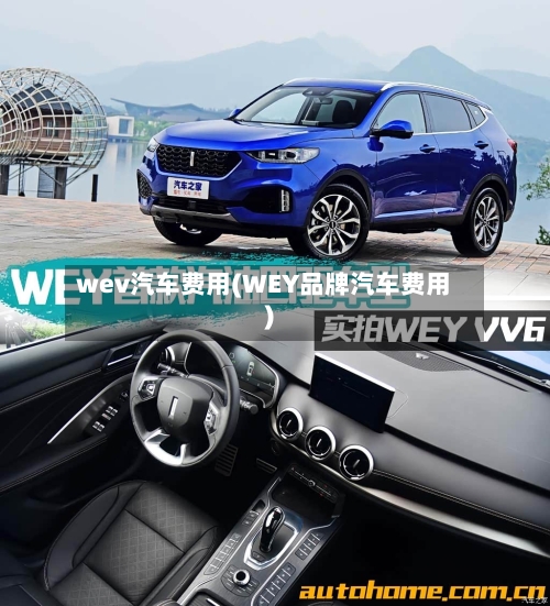 wev汽车费用(WEY品牌汽车费用)