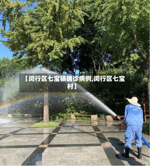 【闵行区七宝镇确诊病例,闵行区七宝村】