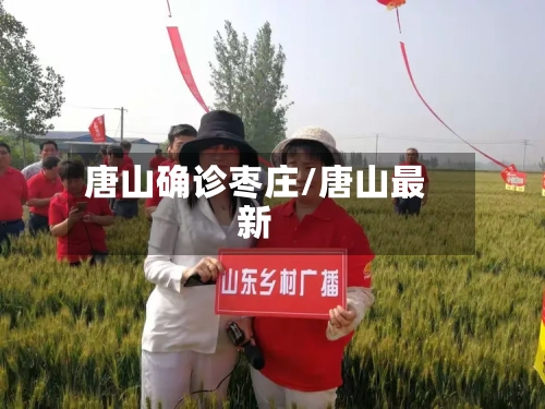 唐山确诊枣庄/唐山最新
