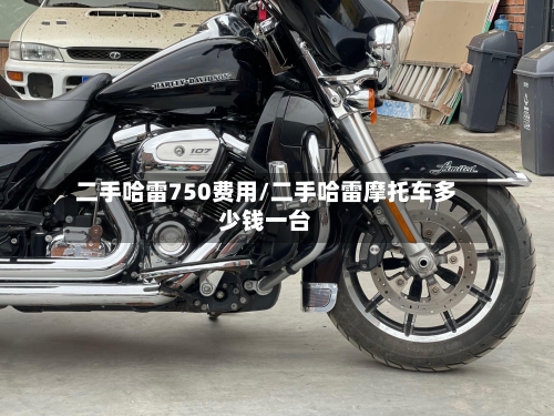 二手哈雷750费用/二手哈雷摩托车多少钱一台