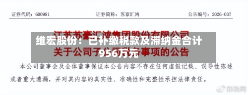 维宏股份:已补缴税款及滞纳金合计956万元-第2张图片