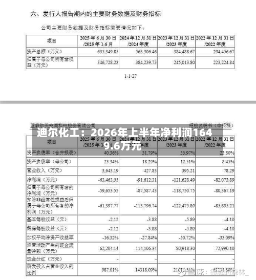 迪尔化工：2026年上半年净利润1649.6万元-第1张图片