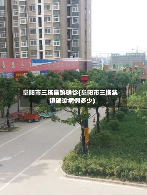 阜阳市三塔集镇确诊(阜阳市三塔集镇确诊病例多少)
