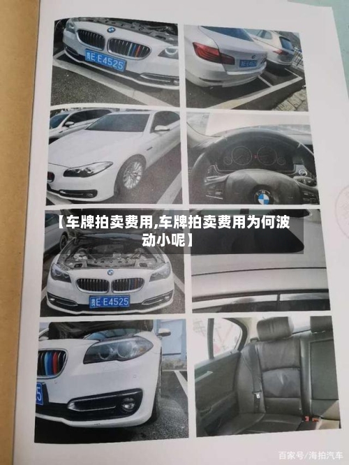 【车牌拍卖费用,车牌拍卖费用为何波动小呢】-第2张图片