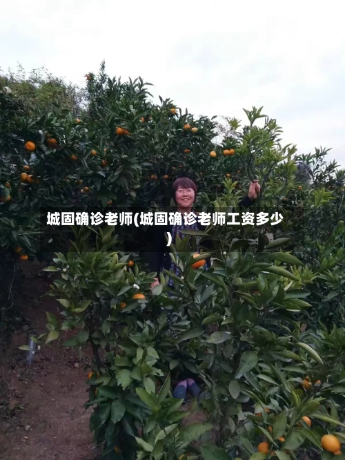 城固确诊老师(城固确诊老师工资多少)-第3张图片