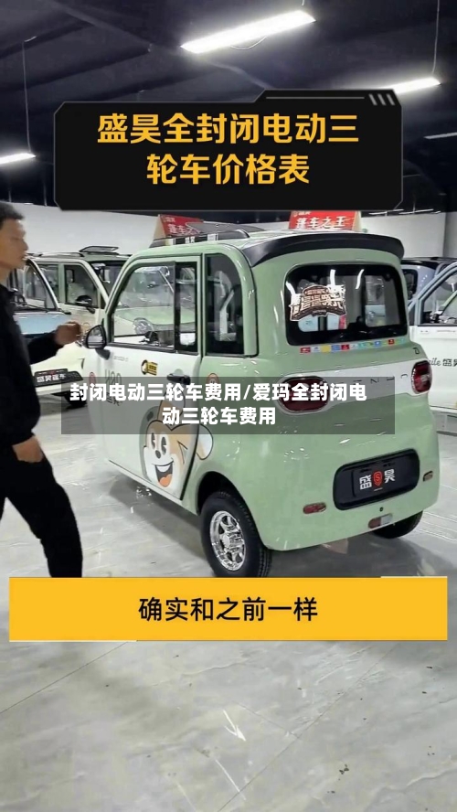 封闭电动三轮车费用/爱玛全封闭电动三轮车费用