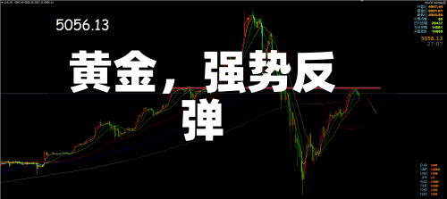 黄金，强势反弹-第2张图片